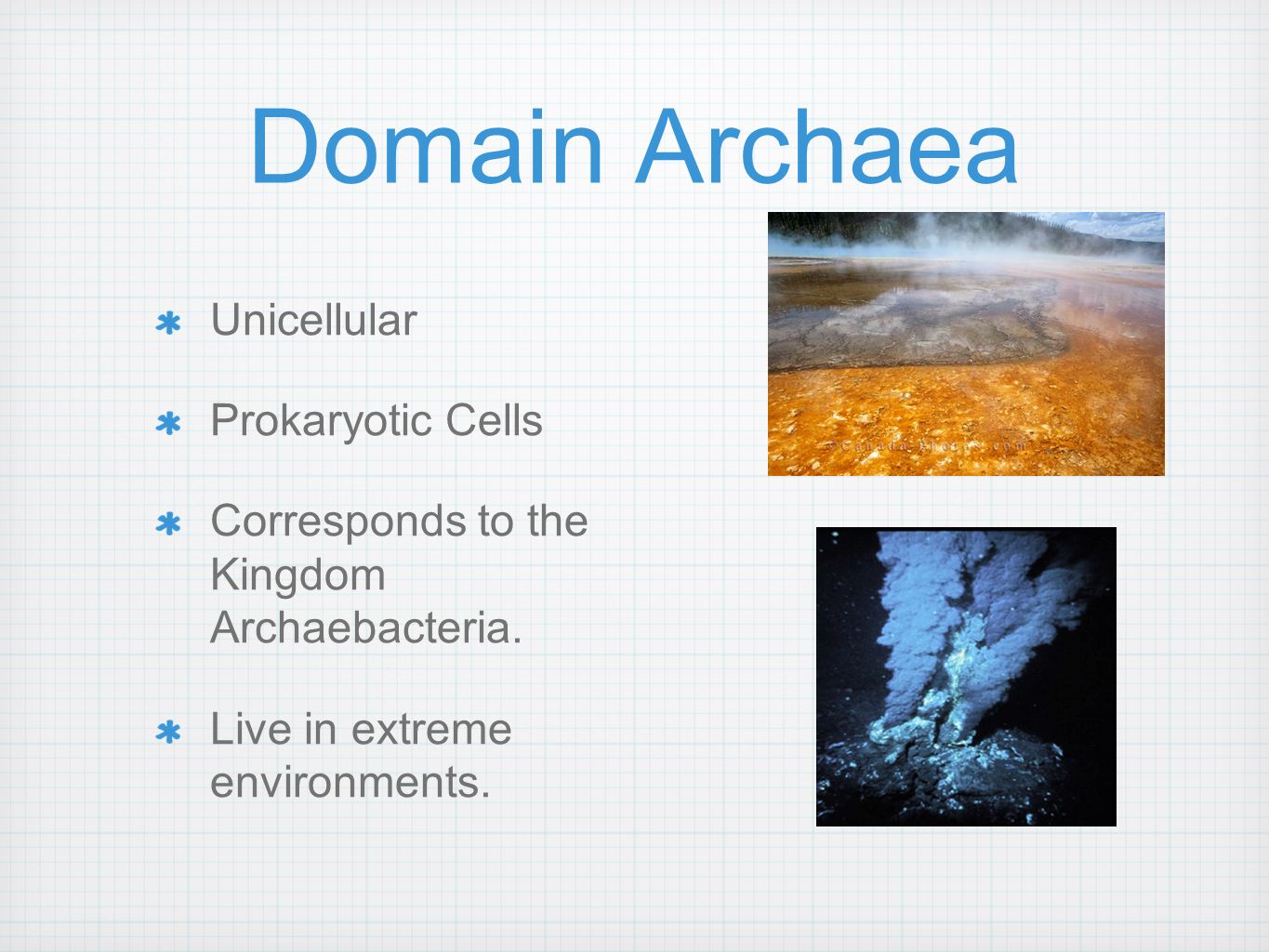 Domain Archaea Unicellular Prokaryotic Cells Corresponds to the Kingdom Archaebacteria.
