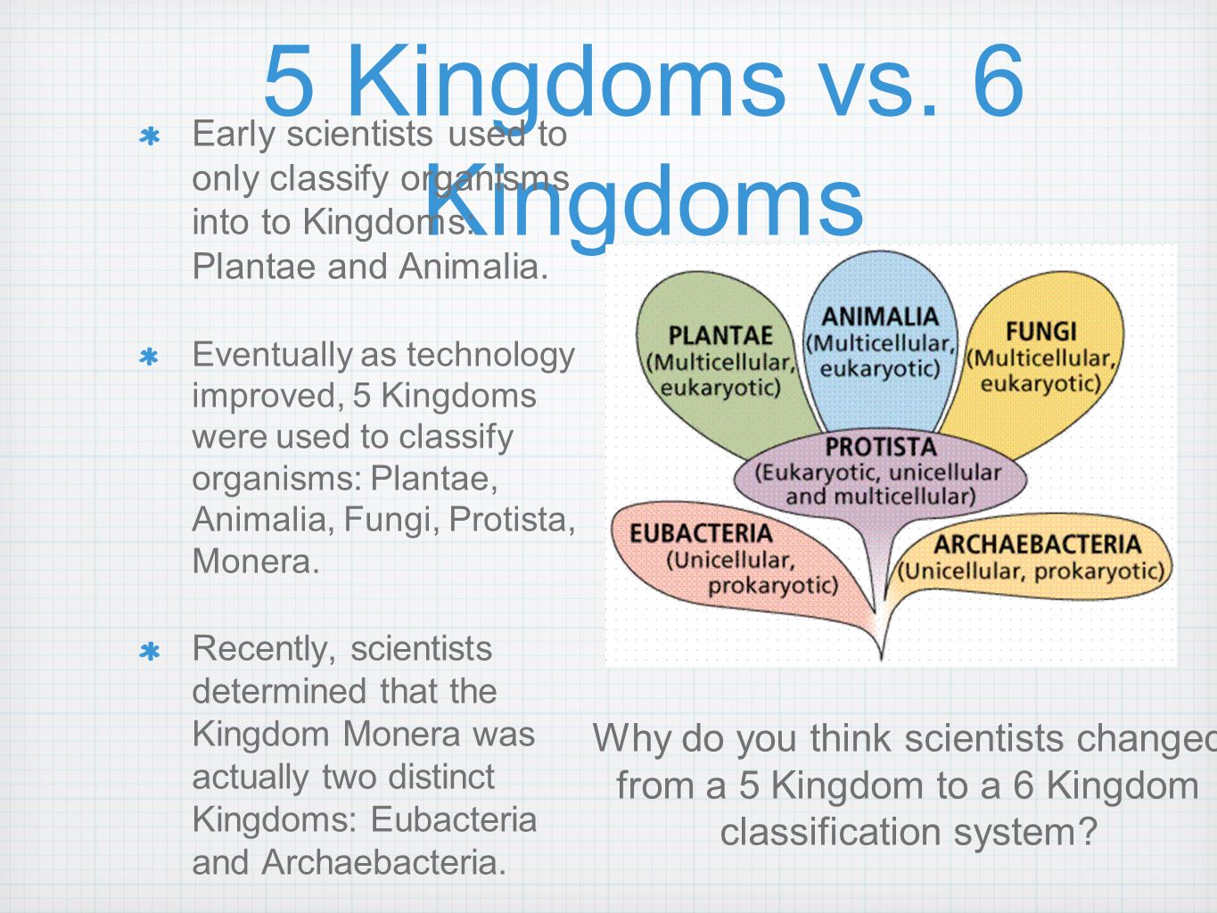 5 Kingdoms vs.