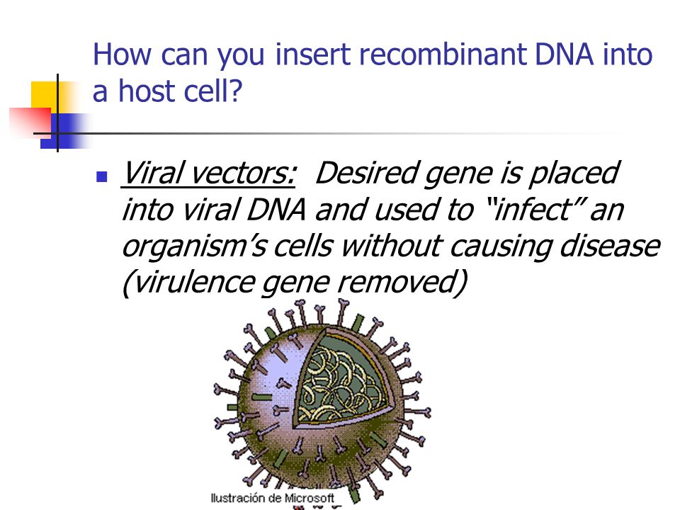 How can you insert recombinant DNA into a host cell.
