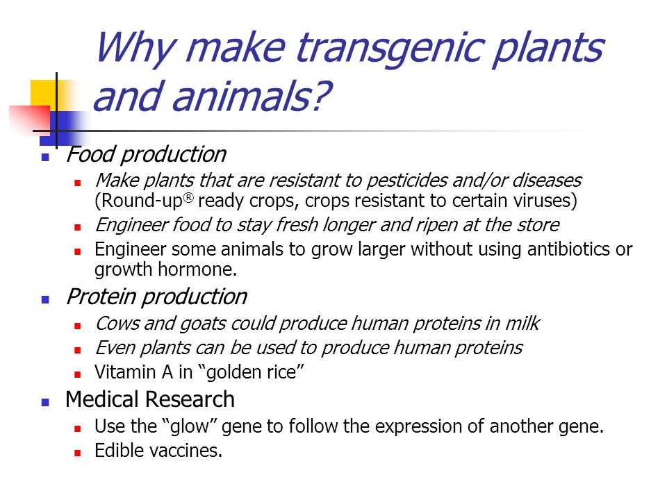 Why make transgenic plants and animals.