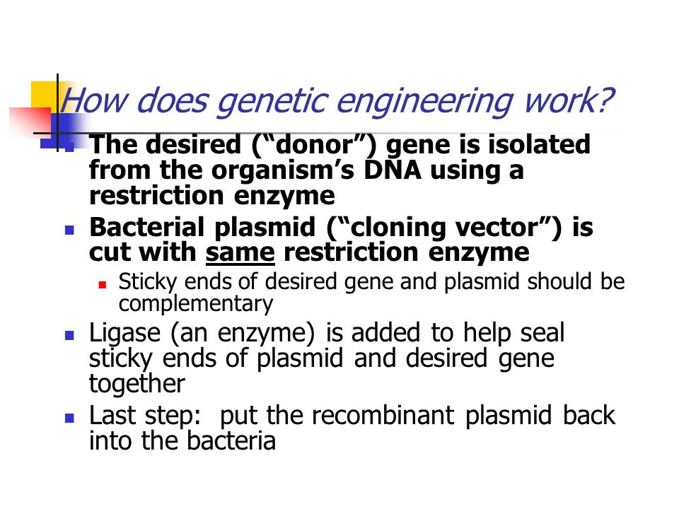 How does genetic engineering work.