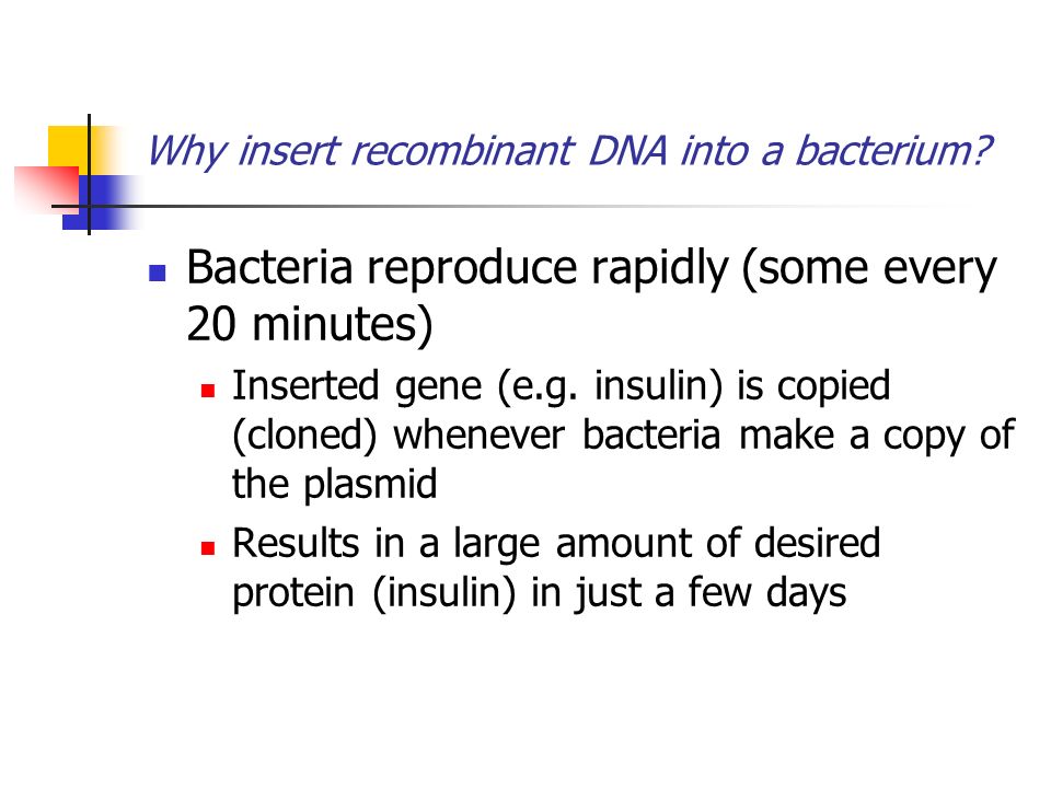 Why insert recombinant DNA into a bacterium.