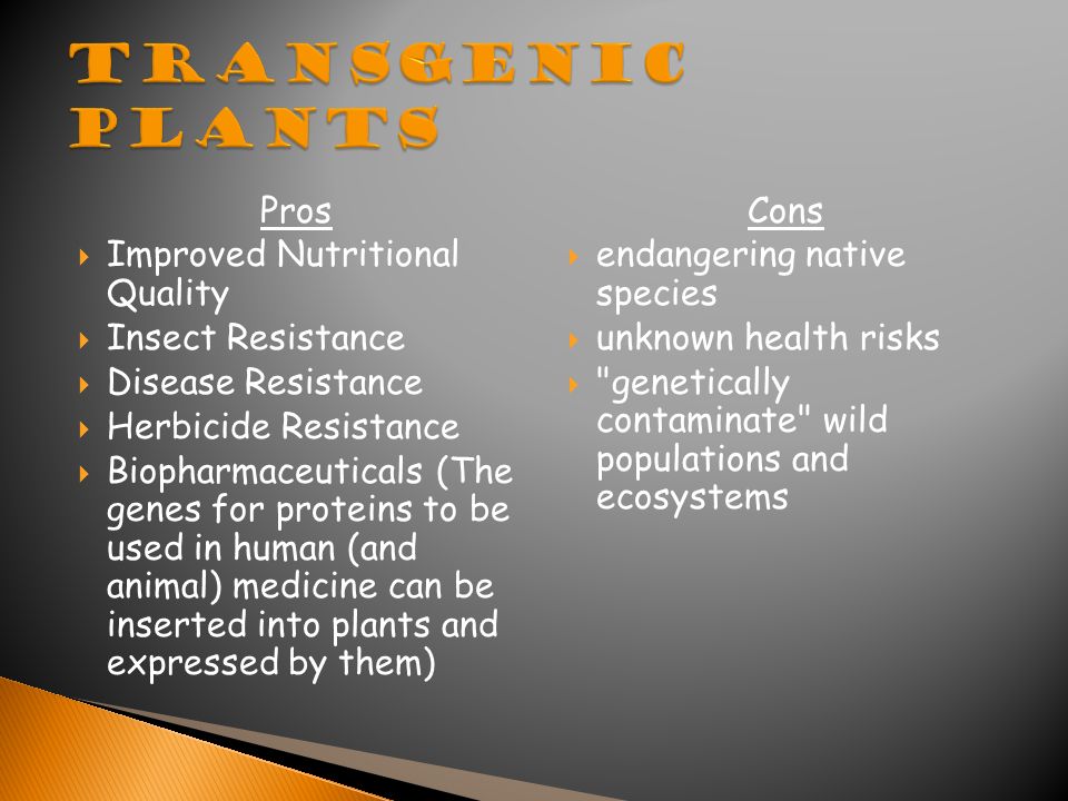 Pros  Improved Nutritional Quality  Insect Resistance  Disease Resistance  Herbicide Resistance  Biopharmaceuticals (The genes for proteins to be used in human (and animal) medicine can be inserted into plants and expressed by them) Cons  endangering native species  unknown health risks  genetically contaminate wild populations and ecosystems