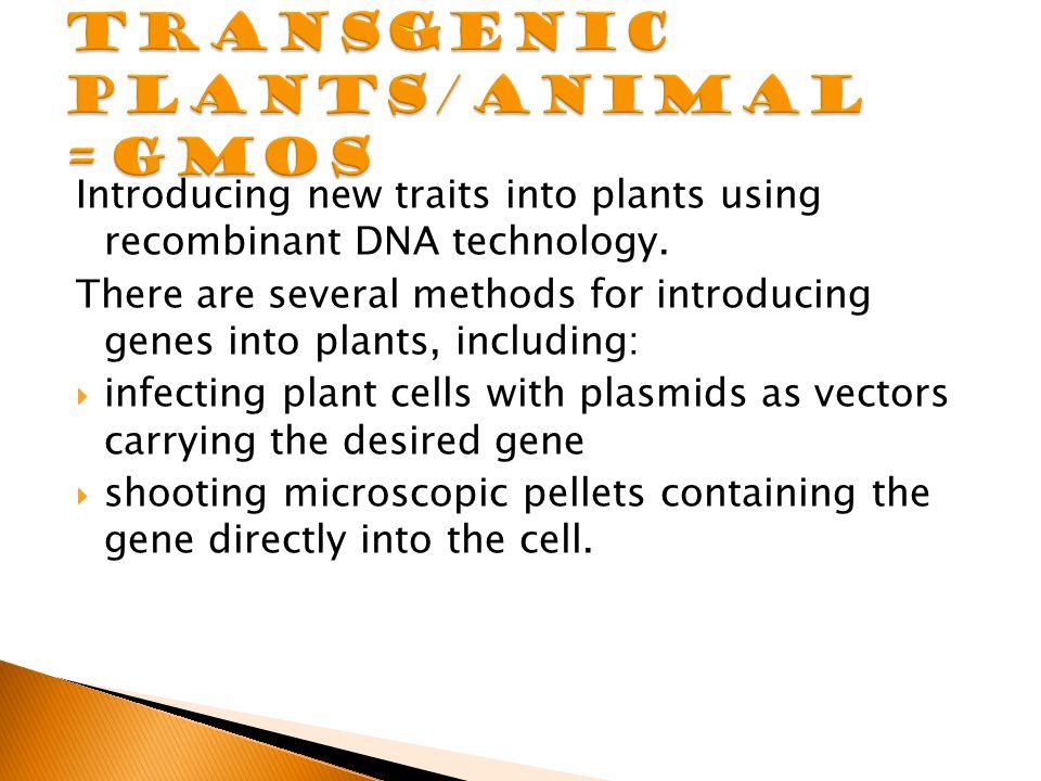 Introducing new traits into plants using recombinant DNA technology.