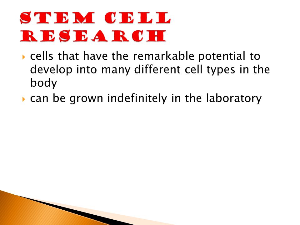  cells that have the remarkable potential to develop into many different cell types in the body  can be grown indefinitely in the laboratory
