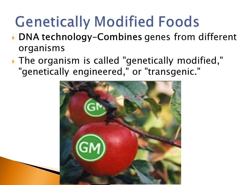  DNA technology-Combines genes from different organisms  The organism is called genetically modified, genetically engineered, or transgenic.