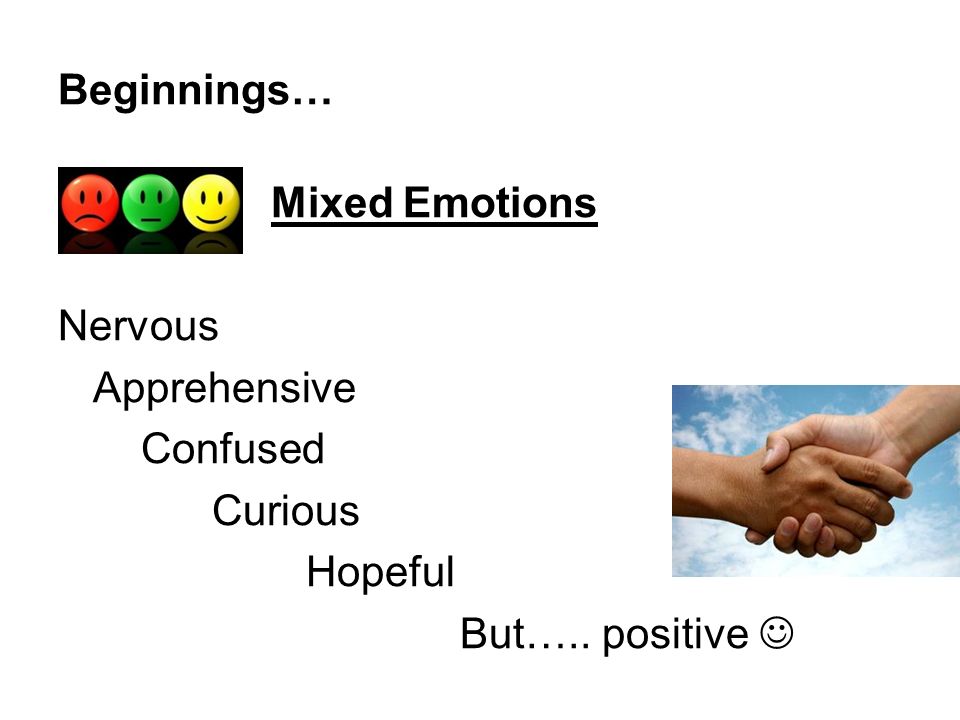 Beginnings… Mixed Emotions Nervous Apprehensive Confused Curious Hopeful But….. positive