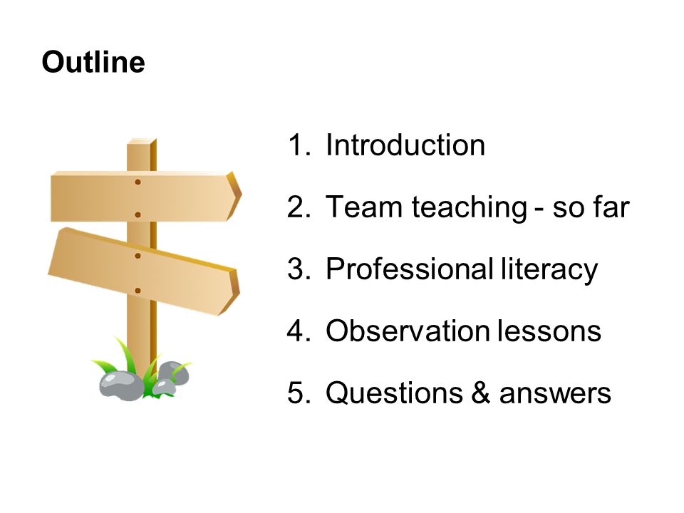 Outline 1.Introduction 2.Team teaching - so far 3.Professional literacy 4.Observation lessons 5.Questions & answers