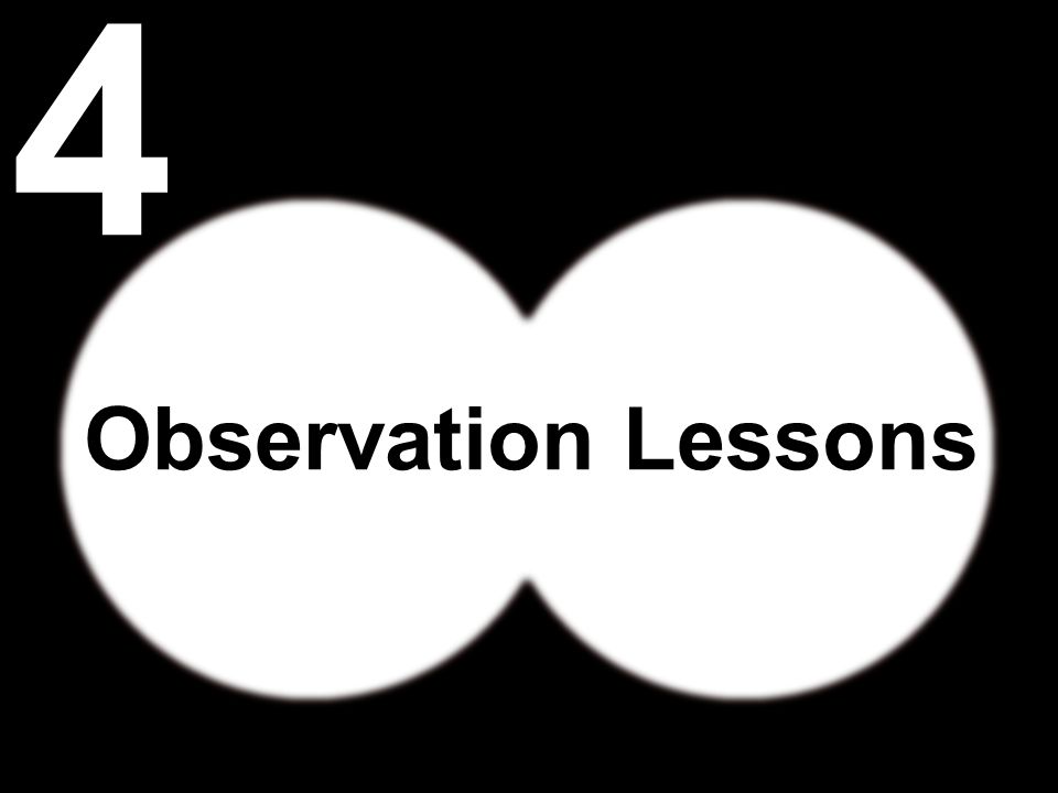 Observation Lessons 4