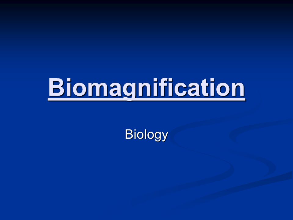 Biomagnification Biology