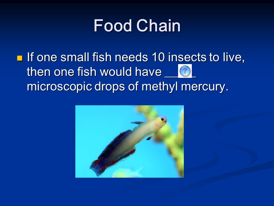 Food Chain If one small fish needs 10 insects to live, then one fish would have _____ microscopic drops of methyl mercury.