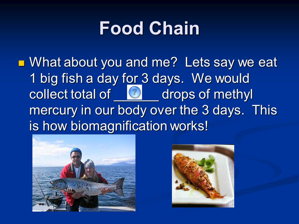 Food Chain What about you and me. Lets say we eat 1 big fish a day for 3 days.