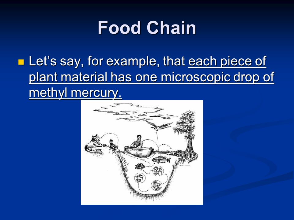 Food Chain Let’s say, for example, that each piece of plant material has one microscopic drop of methyl mercury.