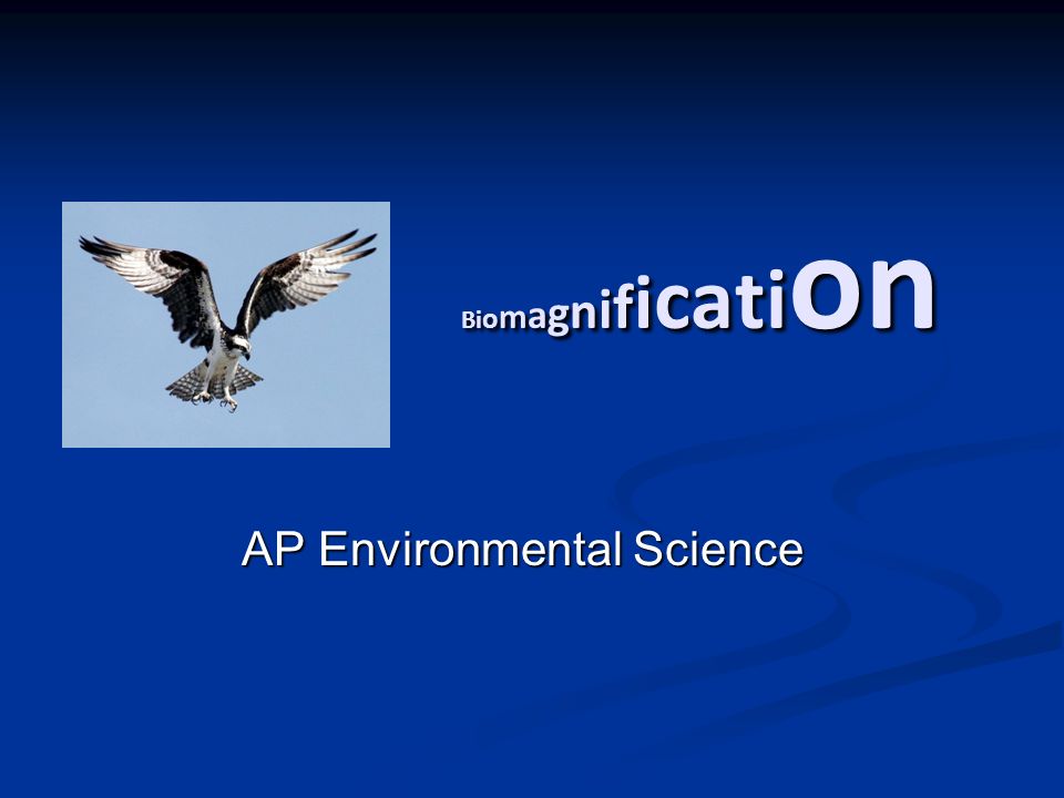 Bi o m a g n i f i cati on AP Environmental Science