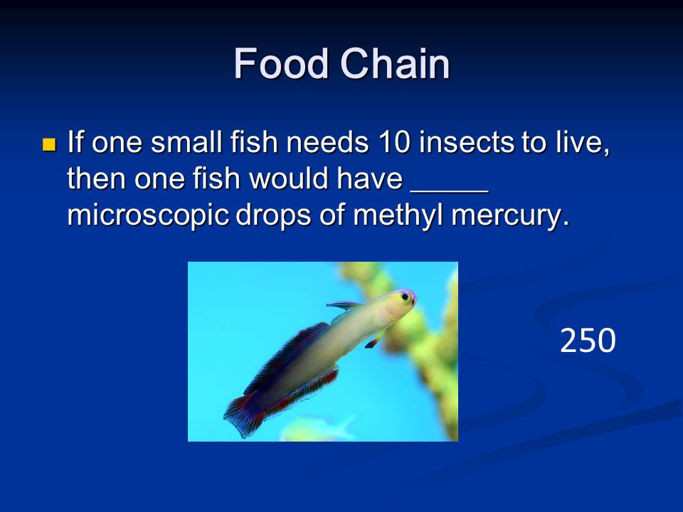 Food Chain If one small fish needs 10 insects to live, then one fish would have _____ microscopic drops of methyl mercury.