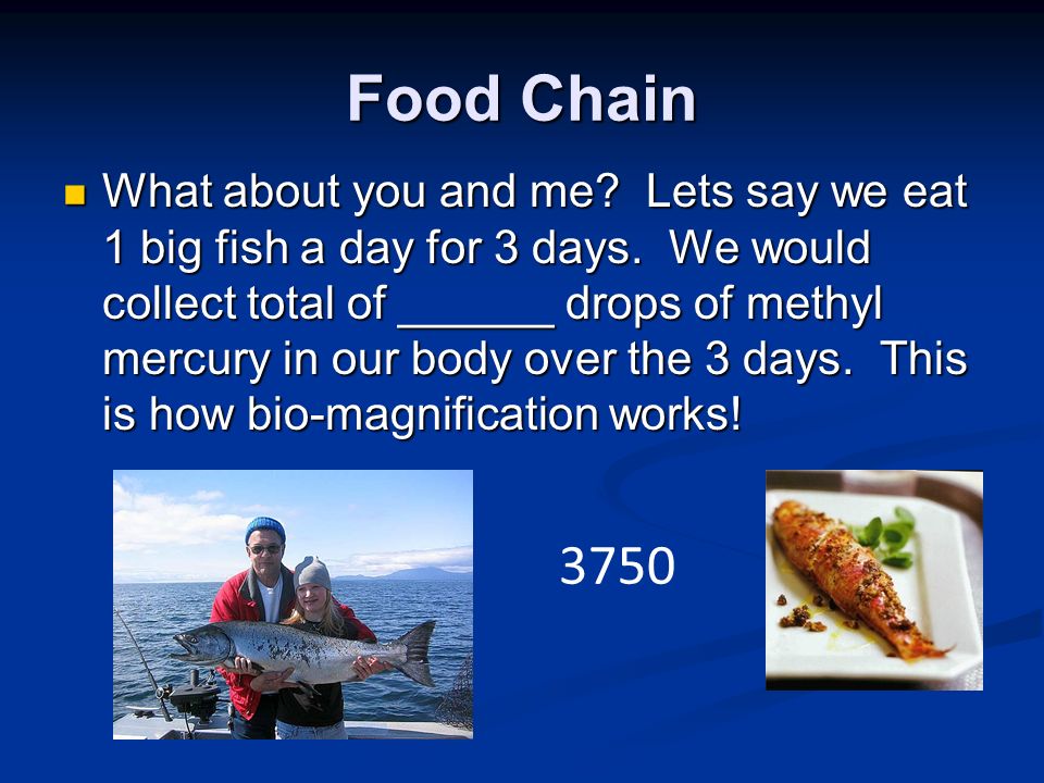 Food Chain What about you and me. Lets say we eat 1 big fish a day for 3 days.