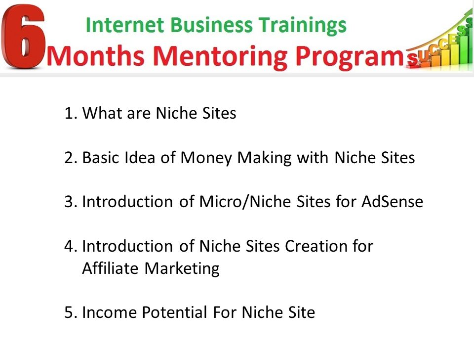 1.What are Niche Sites 2.Basic Idea of Money Making with Niche Sites 3.Introduction of Micro/Niche Sites for AdSense 4.Introduction of Niche Sites Creation for Affiliate Marketing 5.Income Potential For Niche Site