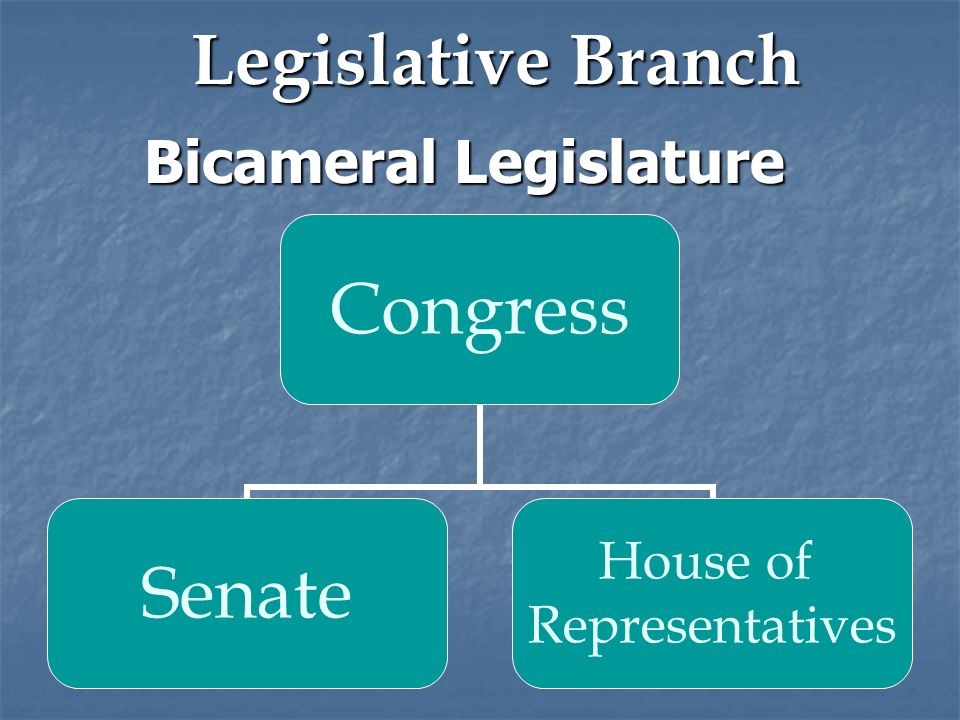 Legislative Branch Bicameral Legislature Congress Senate House of Representatives
