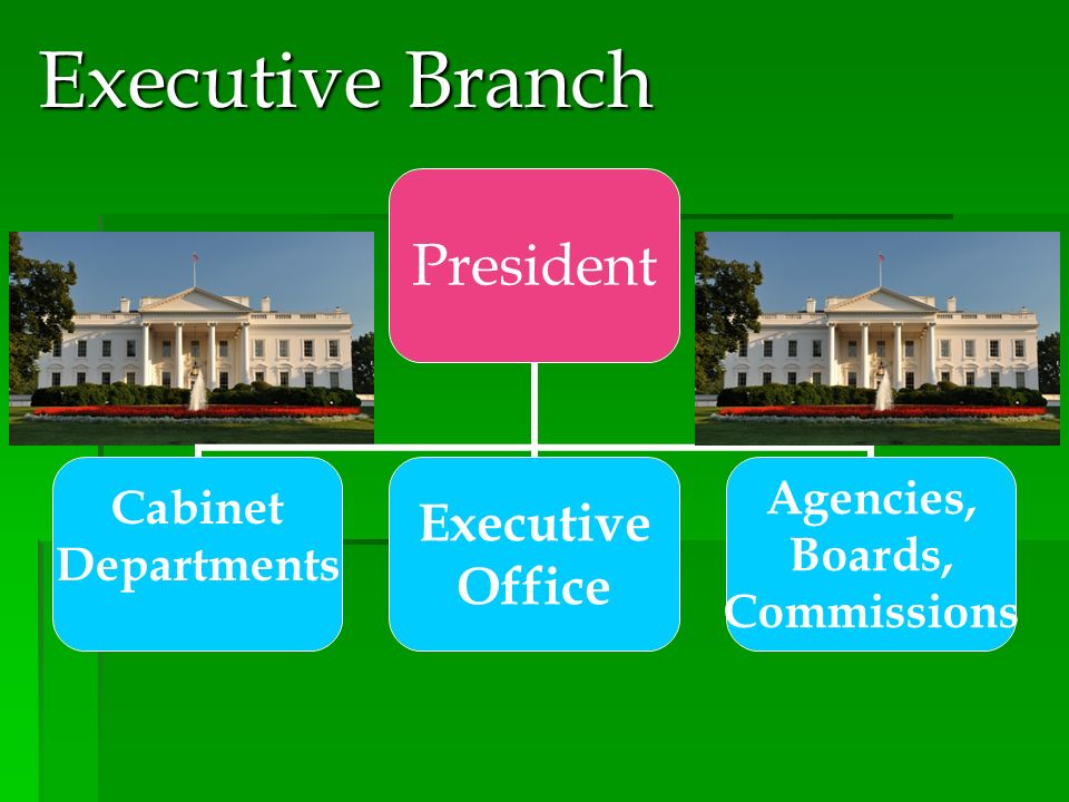Executive Branch President Cabinet Departments Executive Office Agencies, Boards, Commissions