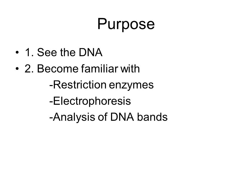 Purpose 1. See the DNA 2.