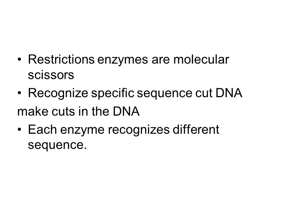 Restrictions enzymes are molecular scissors Recognize specific sequence cut DNA make cuts in the DNA Each enzyme recognizes different sequence.