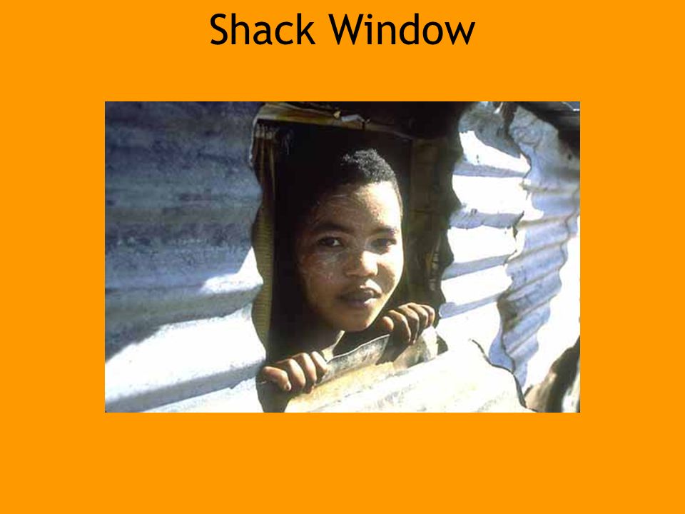 Shack Window