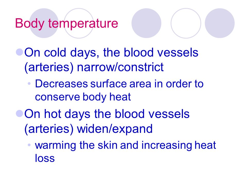 Body temperature On cold days, the blood vessels (arteries) narrow/constrict Decreases surface area in order to conserve body heat On hot days the blood vessels (arteries) widen/expand warming the skin and increasing heat loss