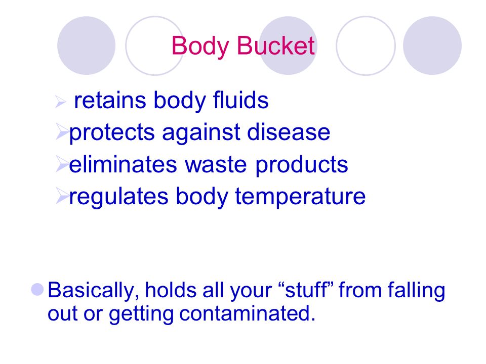 Body Bucket  retains body fluids  protects against disease  eliminates waste products  regulates body temperature Basically, holds all your stuff from falling out or getting contaminated.