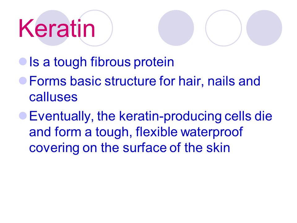 Keratin Is a tough fibrous protein Forms basic structure for hair, nails and calluses Eventually, the keratin-producing cells die and form a tough, flexible waterproof covering on the surface of the skin
