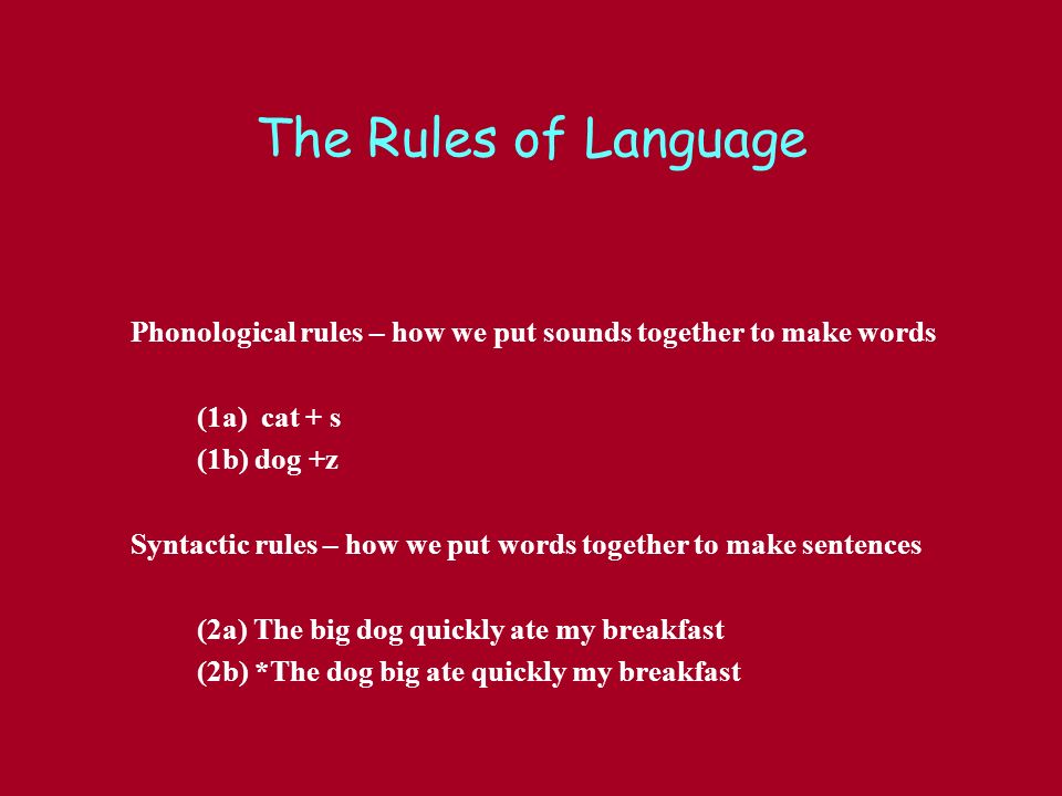 significance function phonological rules language Phonological development in children phonology is study of the sound system of the language and the rules for their combination significance/function of. significance function phonological rules language Phonological development in children phonology is study of the sound system of the language and the rules for their combination significance/function of.