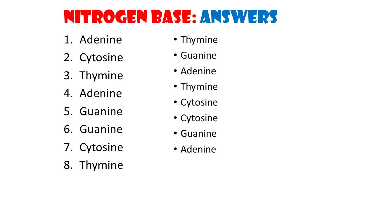 worksheet Chapter 11 Dna And Genes Worksheet Answers chapter 11 dna and genes worksheet answers 9279898 virtualdir info answers