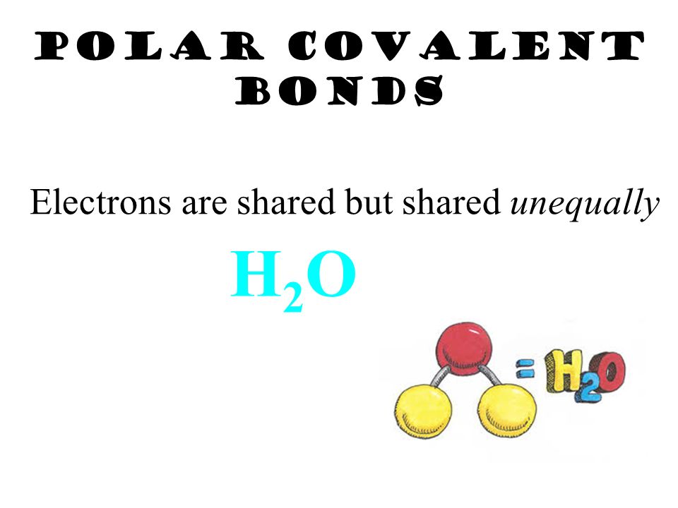 Diatomic Molecules Nonmetals called the Heavenly 7
