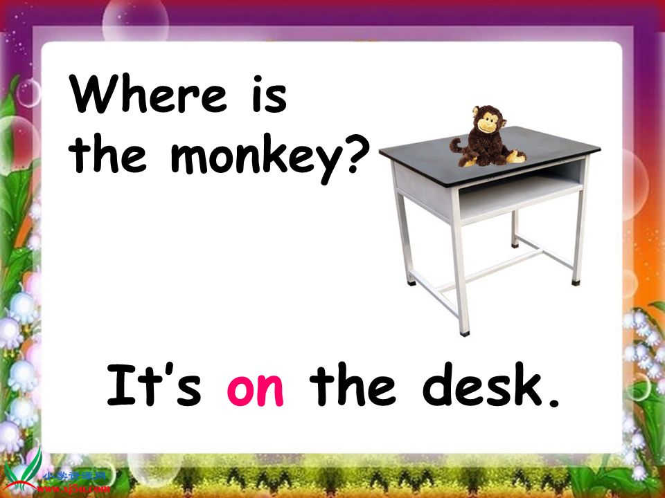 where is the monkey?