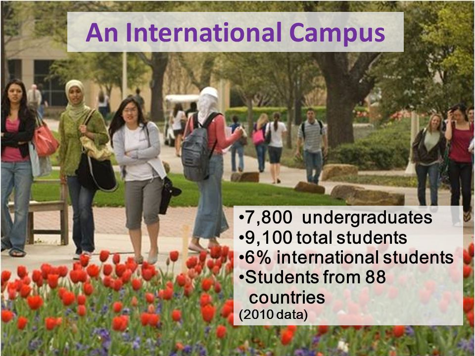 7,800 undergraduates 9,100 total students 6% international students Students from 88 countries (2010 data) An International Campus