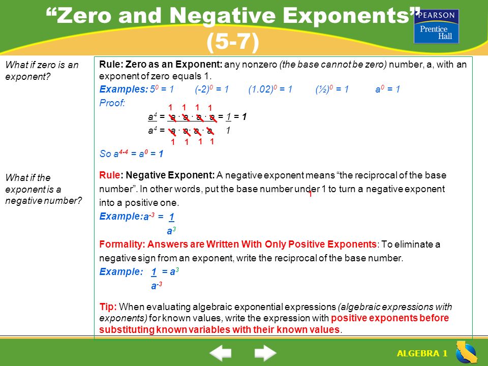 Solving Exponential Word Problems