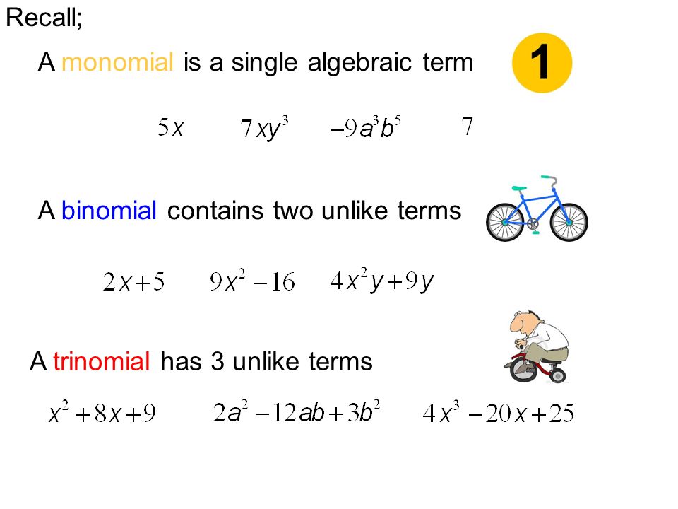 Recall; A monomial is a single algebraic term A binomial contains two unlike terms A trinomial has 3 unlike terms