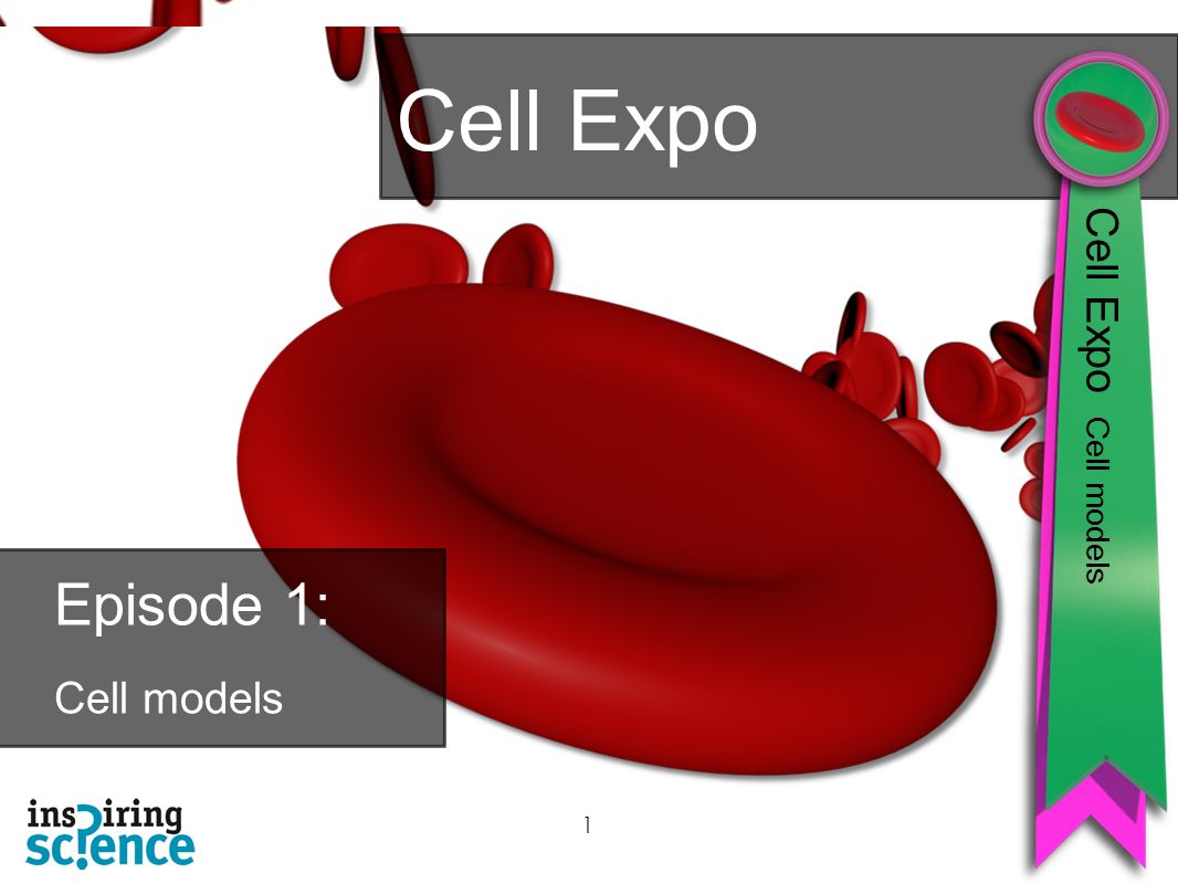 1 Cell Expo Cell Expo Cell models Episode 1: Cell models