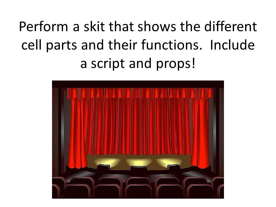 Perform a skit that shows the different cell parts and their functions. Include a script and props!