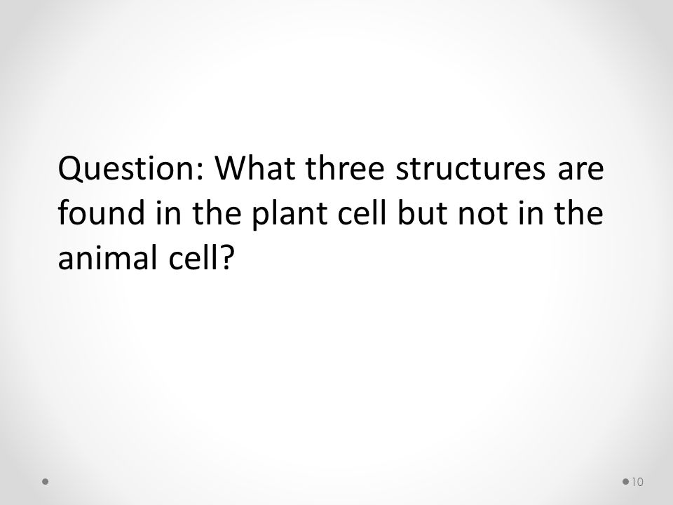 10 Question: What three structures are found in the plant cell but not in the animal cell