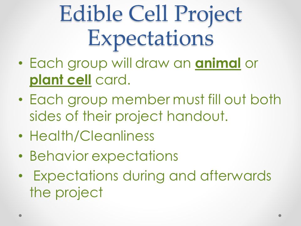 Edible Cell Project Expectations Each group will draw an animal or plant cell card.