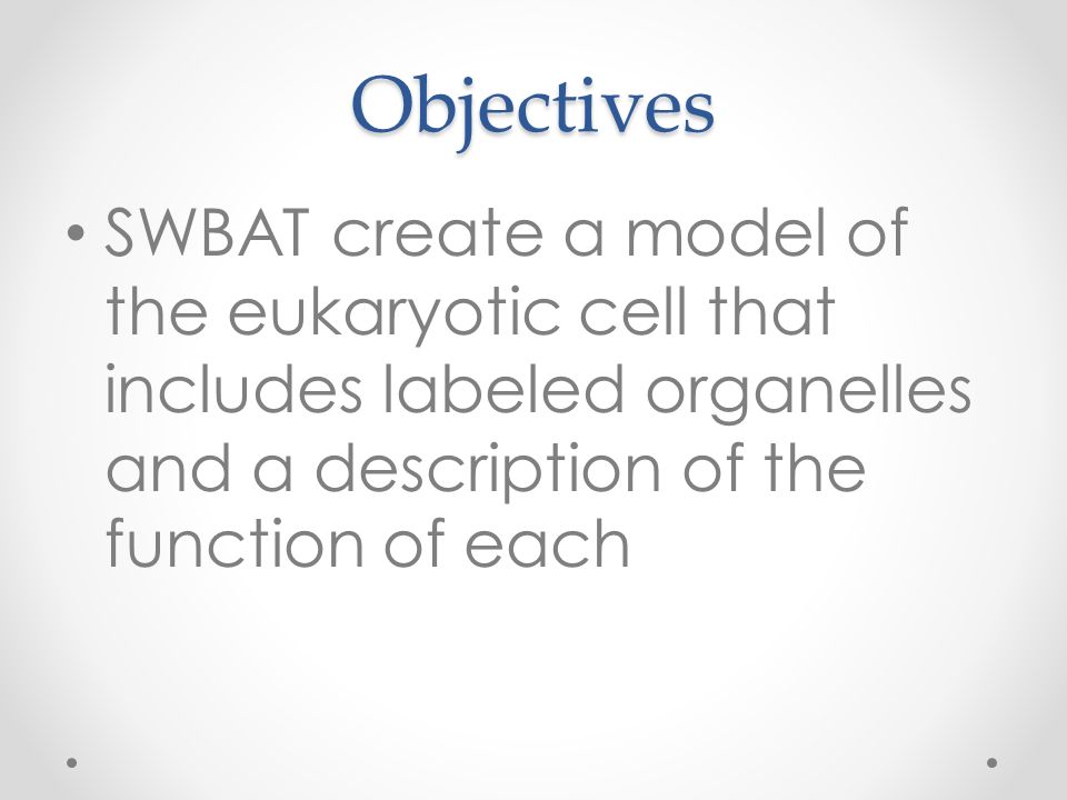 Objectives SWBAT create a model of the eukaryotic cell that includes labeled organelles and a description of the function of each