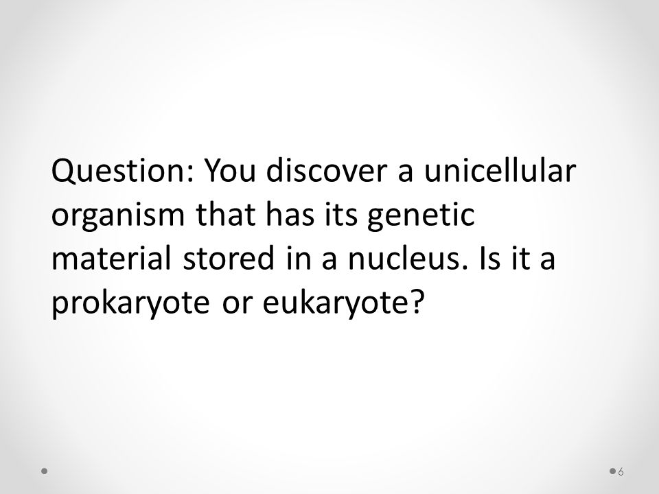 6 Question: You discover a unicellular organism that has its genetic material stored in a nucleus.