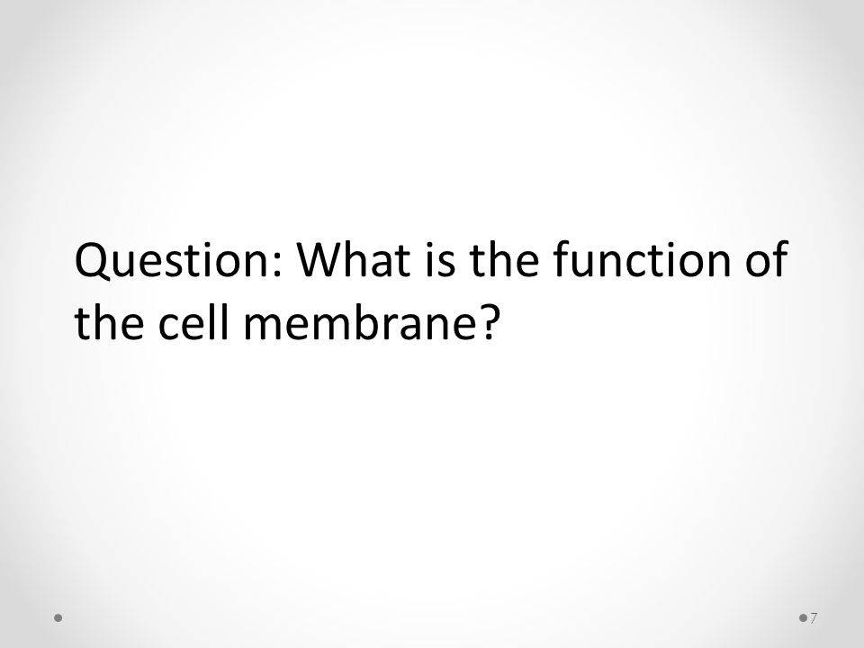 7 Question: What is the function of the cell membrane