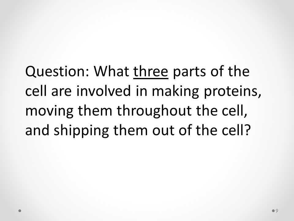 9 Question: What three parts of the cell are involved in making proteins, moving them throughout the cell, and shipping them out of the cell