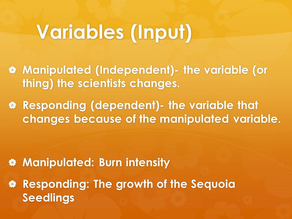 Variables (Input)  Manipulated (Independent)- the variable (or thing) the scientists changes.