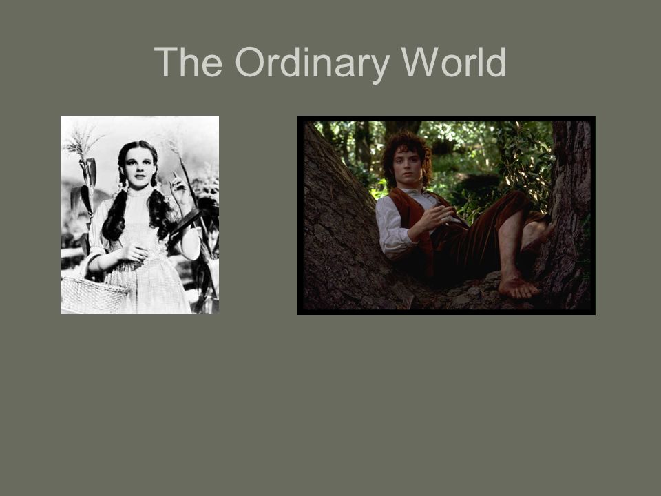 The Ordinary World