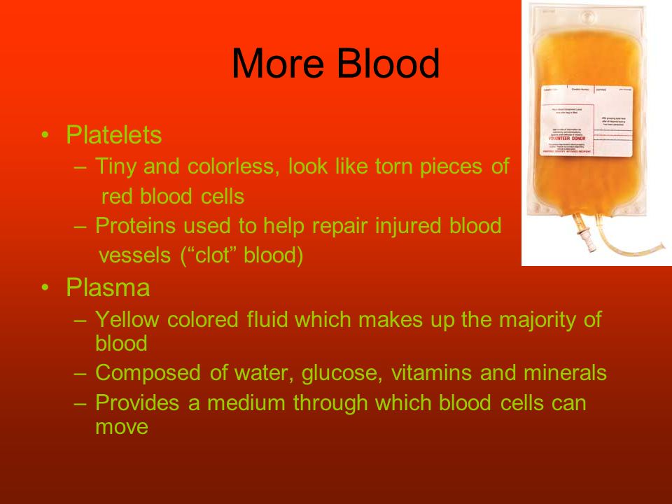 More Blood Platelets –Tiny and colorless, look like torn pieces of red blood cells –Proteins used to help repair injured blood vessels ( clot blood) Plasma –Yellow colored fluid which makes up the majority of blood –Composed of water, glucose, vitamins and minerals –Provides a medium through which blood cells can move