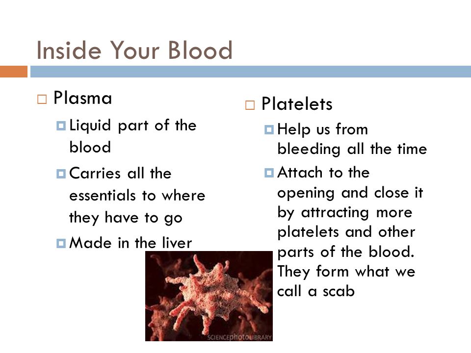 Inside Your Blood  Plasma  Liquid part of the blood  Carries all the essentials to where they have to go  Made in the liver  Platelets  Help us from bleeding all the time  Attach to the opening and close it by attracting more platelets and other parts of the blood.