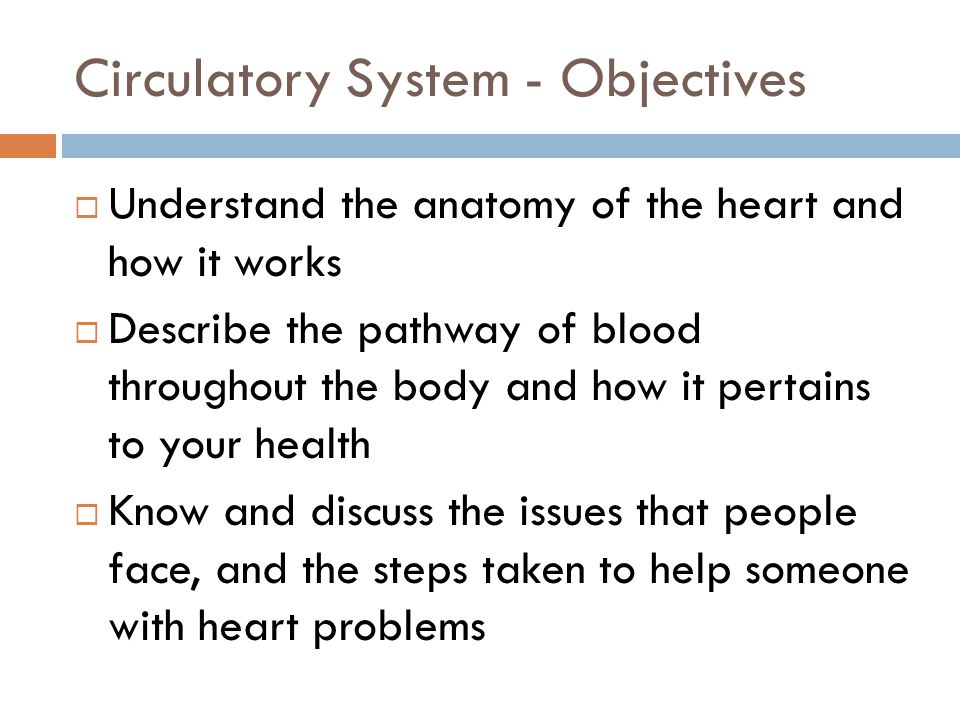 Circulatory System - Objectives  Understand the anatomy of the heart and how it works  Describe the pathway of blood throughout the body and how it pertains to your health  Know and discuss the issues that people face, and the steps taken to help someone with heart problems