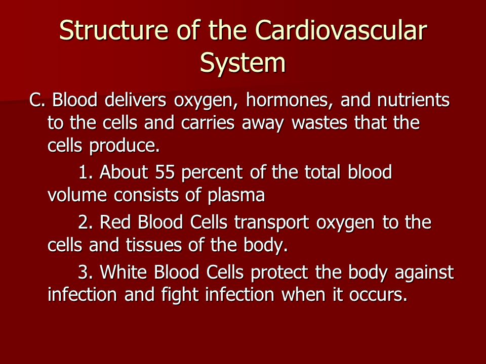 Structure of the Cardiovascular System C.